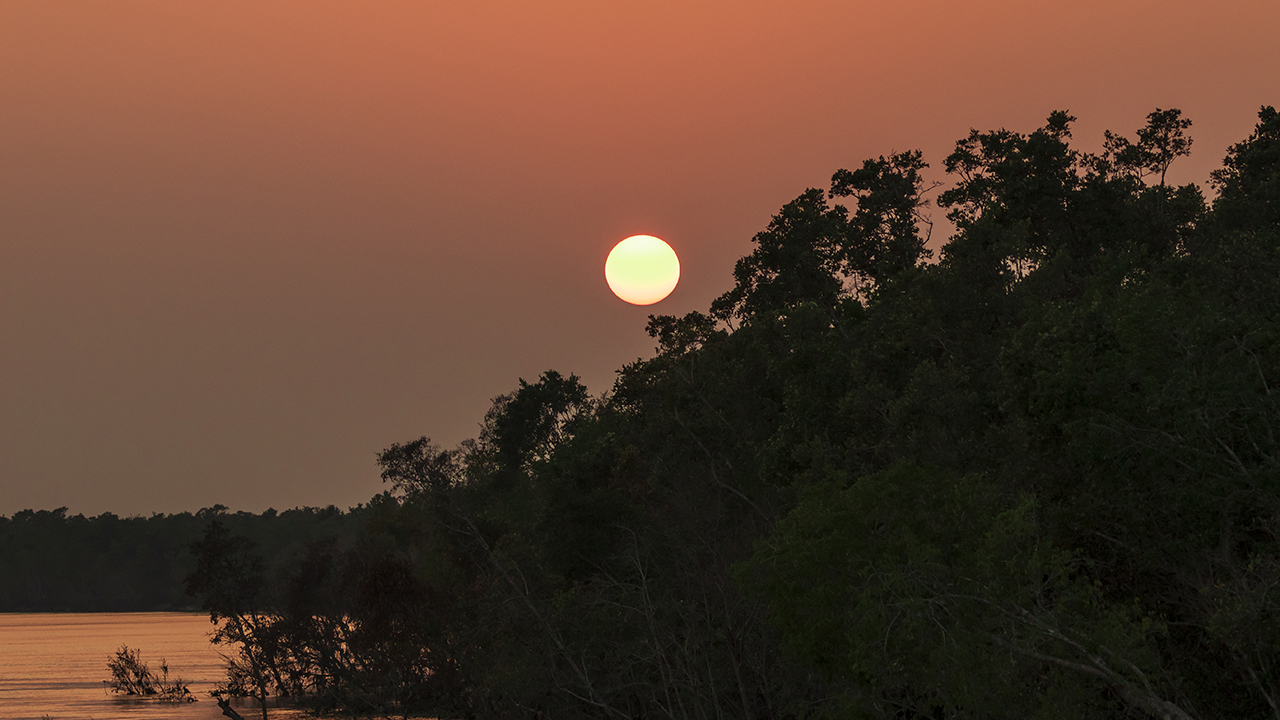 A wonderful sunset @ Natural mangrove forest Sundarbans , Khulna . November-2018
